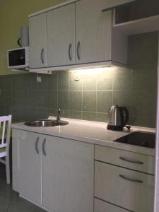 La cuisine est équipée d'un évier et d'un four micro-ondes. dans l'établissement Apartments Žgogo, à Trogir