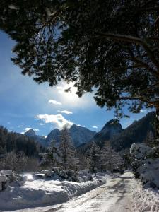 クランスカ・ゴーラにあるApartma Grošの山を背景にした雪道