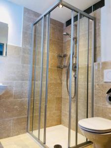 uma cabina de duche com WC na casa de banho em Family Apartment Alpine Living 2-4 Persons em Radstadt