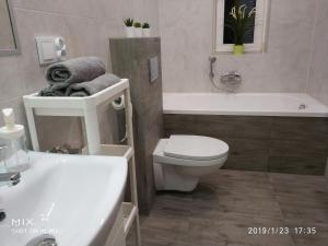 a bathroom with a toilet and a tub and a sink at Apartament Sofia Agroturystyka in Ryczów