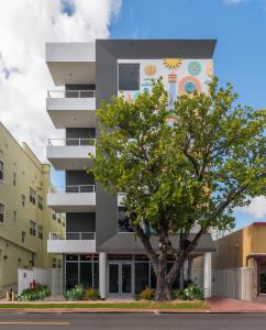 a building with a tree in front of it at VHC Modern Apartments in Miami Beach
