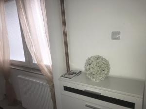 Fotografia z galérie ubytovania Studio apartman Valentina v destinácii Velika Mlaka