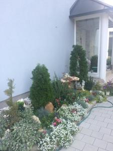 Vonkajšia záhrada v ubytovaní Studio apartman Valentina