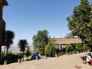 a garden with a blue tent and trees at Top Twelve Hotel - Lalibela in Lalībela