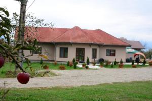 ein Haus mit einem roten Dach und einem Hof in der Unterkunft Casa Alin in Haţeg