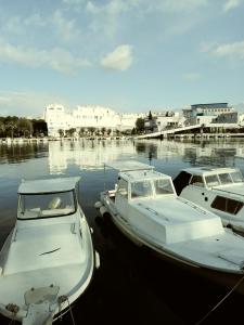 Výhľad na rieku v blízkosti apartmánu