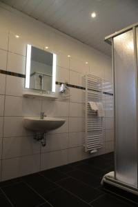 ein Bad mit einem Waschbecken und einem Spiegel in der Unterkunft Hotel Harsshof in Salzgitter