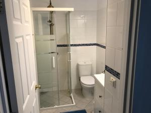 La salle de bains est pourvue de toilettes et d'une douche en verre. dans l'établissement Studio Colina, à Tavira