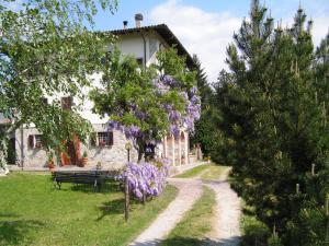 uma casa com flores roxas à sua frente em Agriturismo La Palazzina em Castelnuovo di Garfagnana