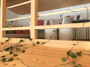 Köök või kööginurk majutusasutuses Ferienwohnung Mountaintop