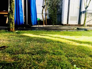 Zahrada ubytování 97Rock bookstore Hostel