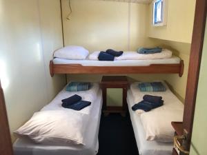 Postel nebo postele na pokoji v ubytování Botel Elodie