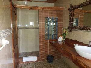 a bathroom with a sink and a shower with a mirror at Elje Villa in La Digue