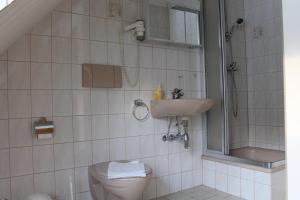 een badkamer met een toilet, een wastafel en een douche bij Hotel Waldfrieden in Elsterberg