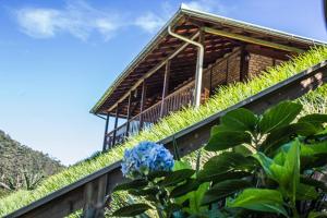 un bâtiment avec un toit vert et des plantes dans l'établissement Pousada Bergen Hütten, à Rio Fortuna