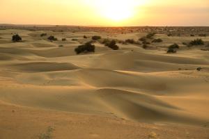KūriにあるSunny Desert Campの夕日を背景にした砂漠