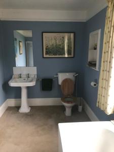 een blauwe badkamer met een toilet en een wastafel bij Waldegrave farm in Hartest