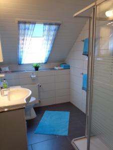 La salle de bains est pourvue d'une douche, d'un lavabo et de toilettes. dans l'établissement Ferienwohnung Balbach,"Haus Hella", à Lauda-Königshofen