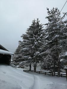 Ferienwohnung Reindl tokom zime