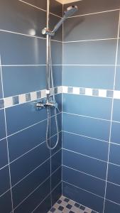 une salle de bain avec douche aux carreaux bleus dans l'établissement 1262 Chemin des Pignatelles, à La Motte 10 autres photos
