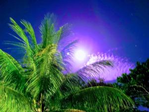 Billede fra billedgalleriet på Cuca Legal Hotel i Presidente Figueiredo