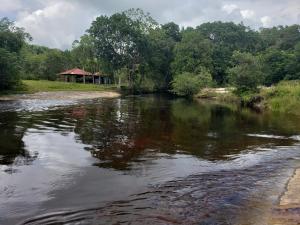 a river with trees and a gazebo in the background at Cuca Legal Hotel in Presidente Figueiredo