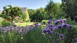 a field of purple flowers in a garden at Romantischer Winkel in Neuharlingersiel