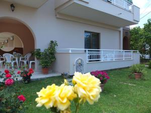 Сад в Toula's Apartments