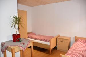 a room with two beds and a table with a potted plant at Naturfreundehaus Veilbronn in Heiligenstadt