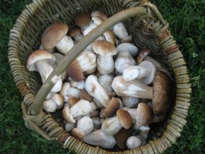 Billede fra billedgalleriet på Andreyevskie Ozera i Andreyevka