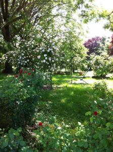 einen Garten mit einem Baum und Blumen im Gras in der Unterkunft Casa a Soliera in Il Cristo