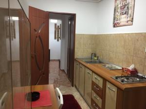 una cucina con un lavello e un piano di lavoro di Center Apartment a Galaţi