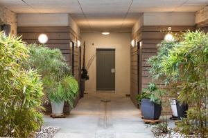 a hallway with potted plants and a door at LE RIAD - Loft de 230 m2 au cœur de Nantes in Nantes