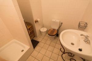 Kúpeľňa v ubytovaní Holiday Home Usedlost Nový Svět