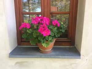 Vonkajšia záhrada v ubytovaní Holiday Home Usedlost Nový Svět