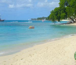 Gallery image of Coral Lane Beach Apartments in Saint James