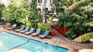 uma piscina com espreguiçadeiras e uma piscina em Freehand Miami em Miami Beach