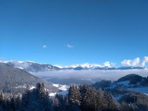 vista su una catena montuosa innevata con alberi e nuvole di Natur Appartments Riesen a San Lorenzo di Sebato