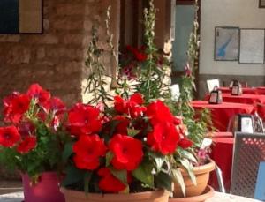 Un restaurante o sitio para comer en Albergo Centrale