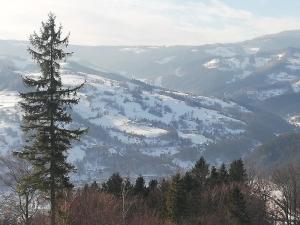 Príroda v okolí apartmánu