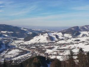 Príroda v okolí apartmánu