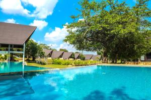 a swimming pool in front of a building with a tree at Liyya Water Villas in Dambulla