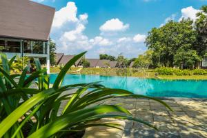 Bazén v ubytování Liyya Water Villas nebo v jeho okolí
