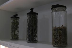 Foto dalla galleria di Meia Laranja ad Almeirim Altre 13 foto