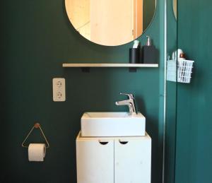 baño con lavabo y espejo en una pared verde en ROOTS Tiny House, en Tilburg