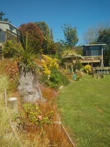 a garden with a palm tree in front of a house at starry nights tree house in Waikino