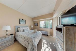 a bedroom with a bed and a flat screen tv at Forest Beach Villas in Hilton Head Island