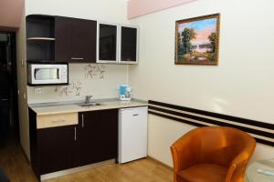 Kuchyň nebo kuchyňský kout v ubytování Hotel Zimbru