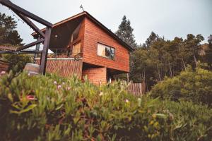 Fotografie z fotogalerie ubytování Cabañas y Spa Costa Patagonia - Piscina Climatizada v destinaci Pichilemu