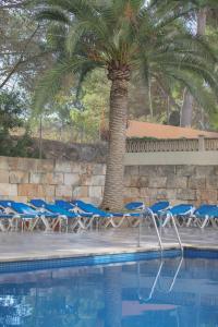 Swimmingpoolen hos eller tæt på Hotel Urania Arenal - Adults Recommended